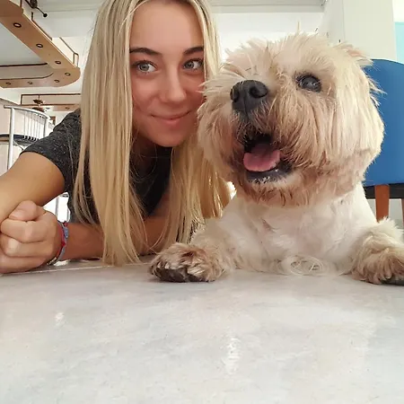 فندق Rio ألاسيو